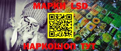 спайс Тара