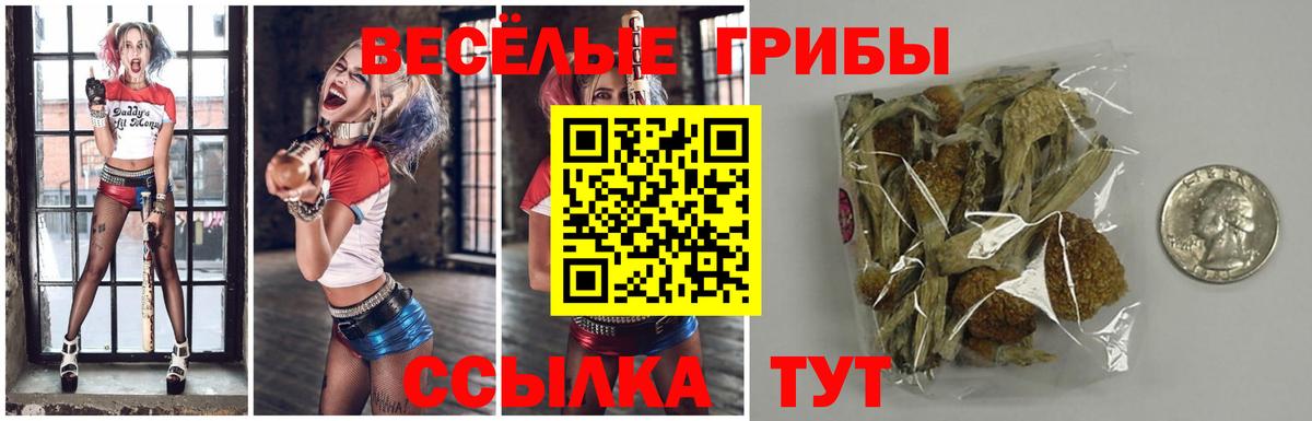 Галлюциногенные грибы прущие грибы Павловский Посад